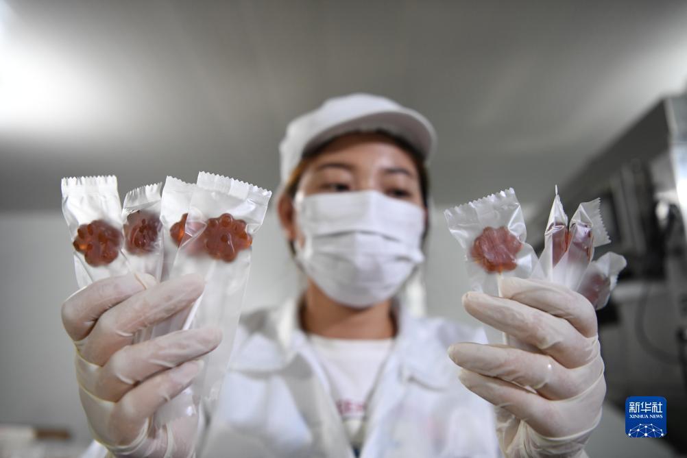 打鱼提现游戏