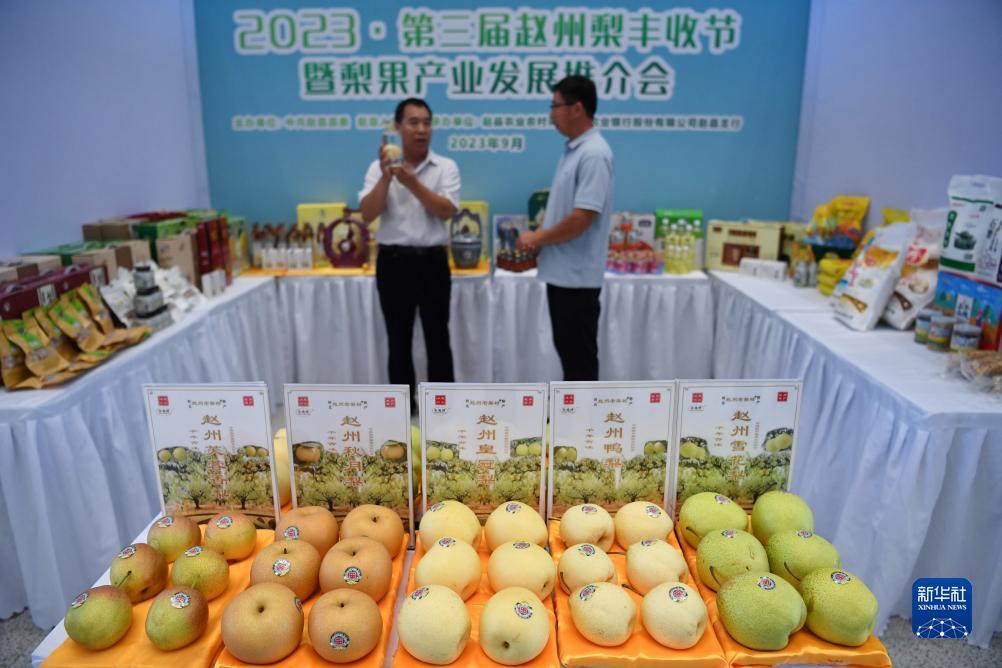 姚记捕鱼游戏技巧心得